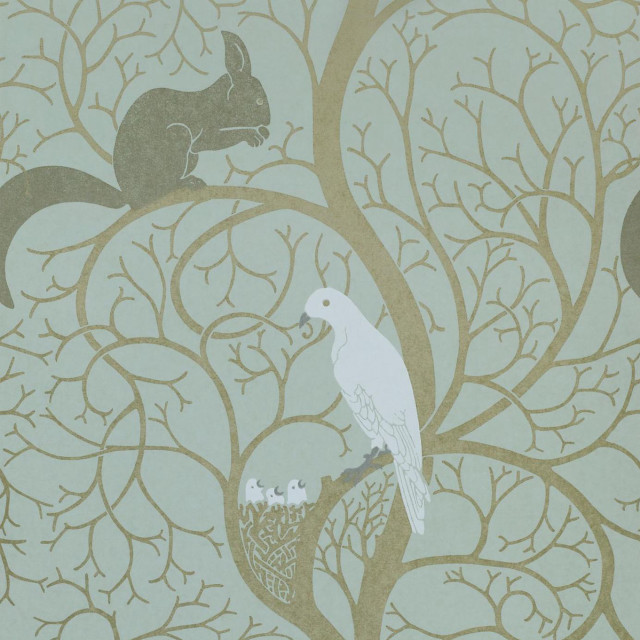 Bird squirrel tree branch background free wallpaper - medium preview image
