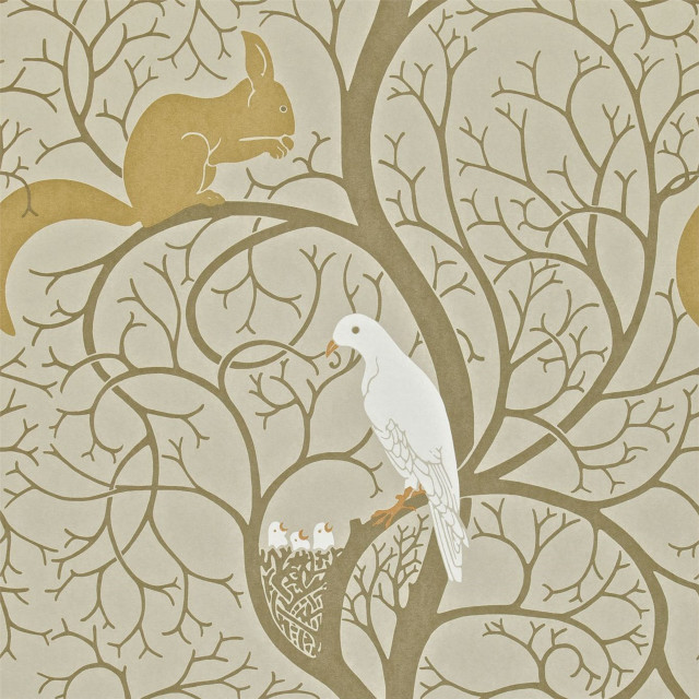 Bird branch squirrel sitting back free wallpaper - medium preview image