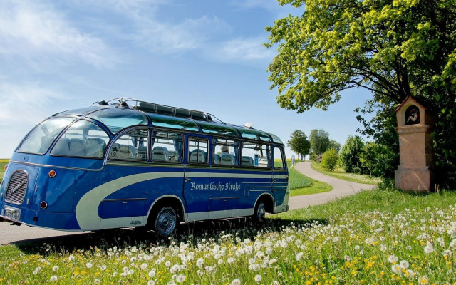 Bus parked road tree clock free wallpaper - medium preview image
