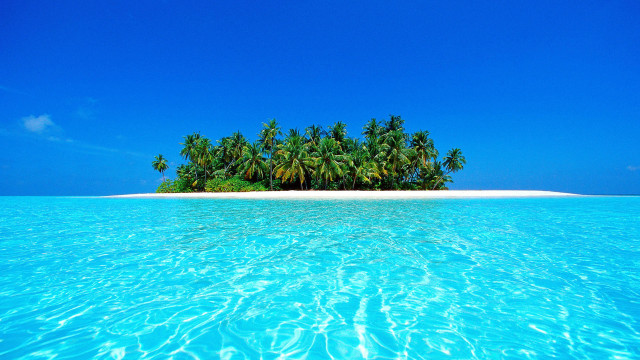 Island palm trees ocean sky free wallpaper - medium preview image