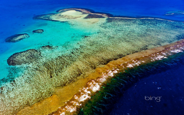 Aerial coral reef island ocean free wallpaper - medium preview image