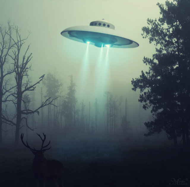 Flying object sky forest deer free wallpaper - medium preview image