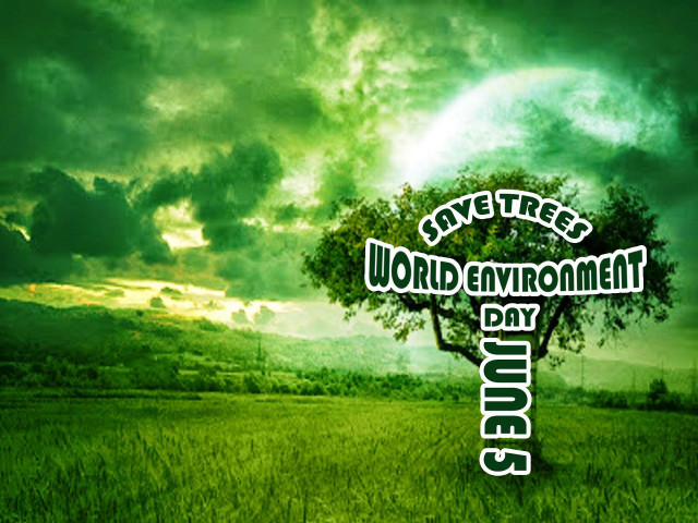 Green field tree sky clouds #6 free wallpaper - medium preview image