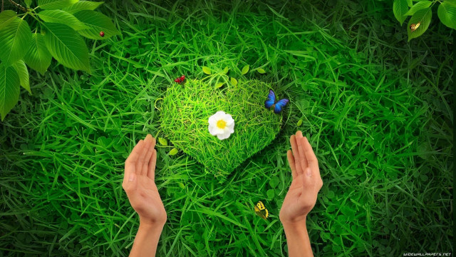 Person holding heart green grass free wallpaper - medium preview image
