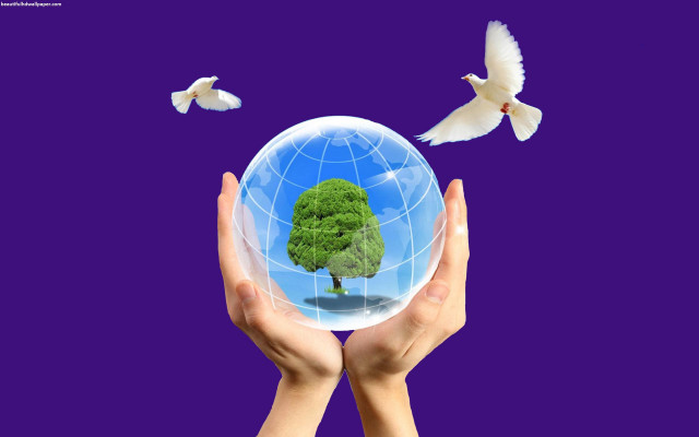 Person holding globe tree birds free wallpaper - medium preview image