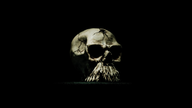 Skull beard black background light free wallpaper - medium preview image
