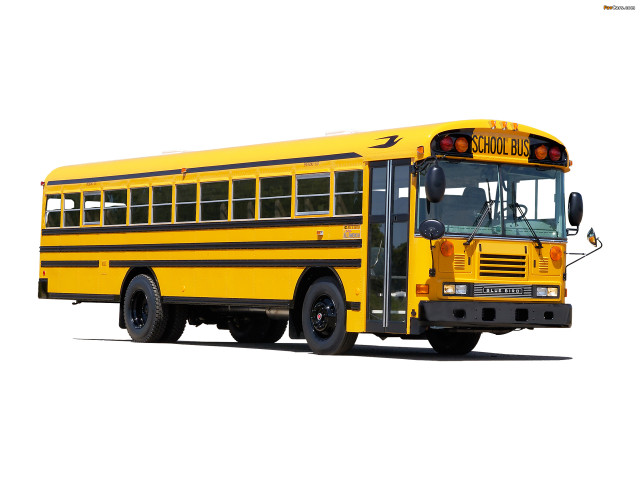 Yellow school bus vancouver digital free wallpaper - medium preview image