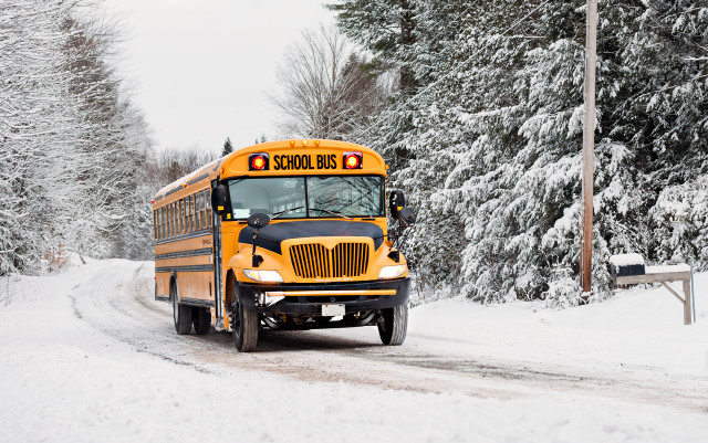 School bus snowy road woods free wallpaper - medium preview image