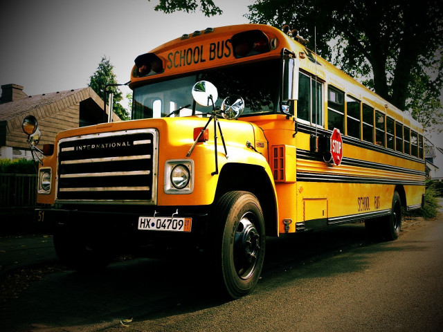 Yellow school bus road house free wallpaper - medium preview image