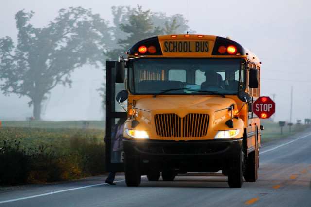 School bus stop sign person free wallpaper - medium preview image