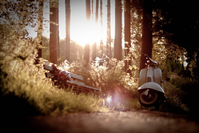 Scooter parked forest sun shining free wallpaper - medium preview image