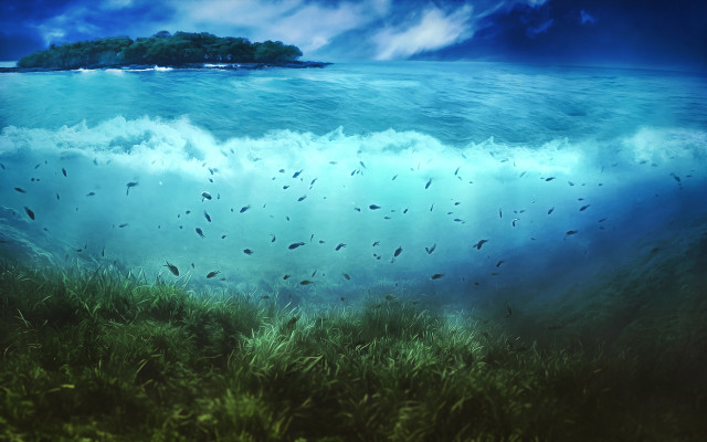 Large body of water island free wallpaper - medium preview image