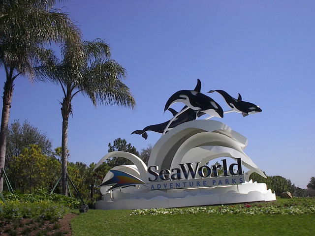 Seaworld marine park dolphins sign free wallpaper - medium preview image