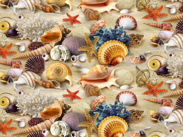Colorful sea shell pattern beach free wallpaper - medium preview image