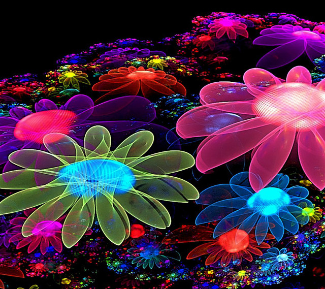 Flowers dark black background group #2 free wallpaper - medium preview image