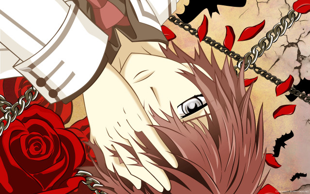 Man chain rose chest red free wallpaper - medium preview image
