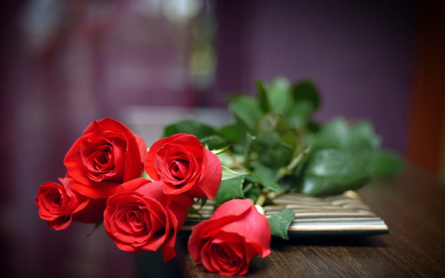 Red roses table book plant free wallpaper - medium preview image