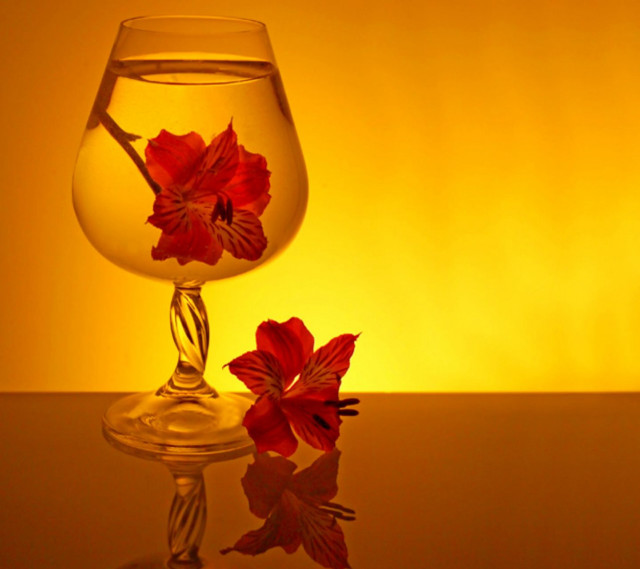 Glass water flower table yellow #2 free wallpaper - medium preview image