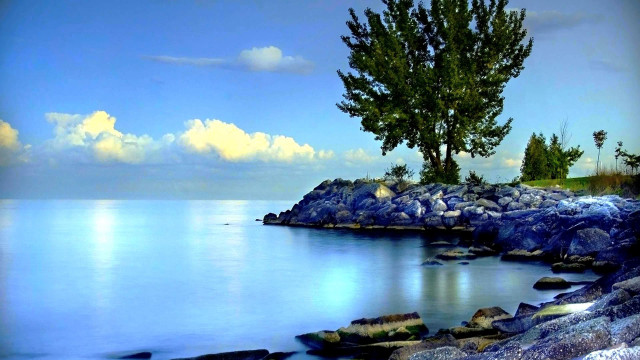 Tree rocky shore ocean blue free wallpaper - medium preview image