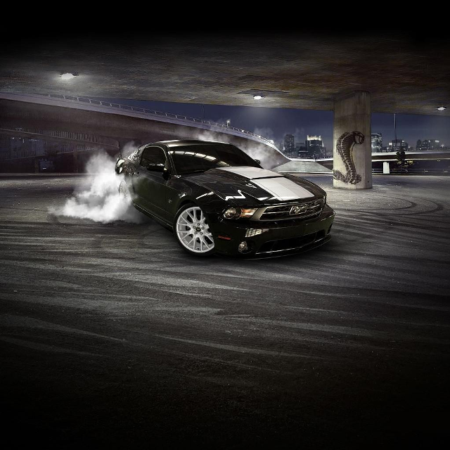 Black mustang white stripe hood free wallpaper - medium preview image