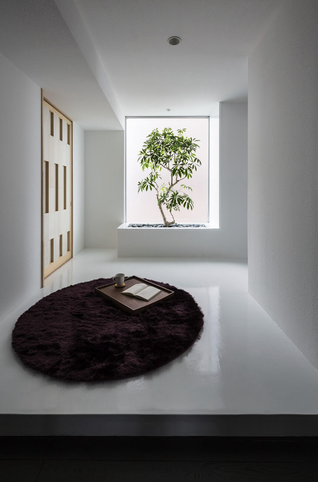 Room tree window potted plant free wallpaper - medium preview image
