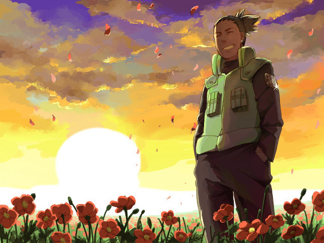 Man field flowers sunset clouds free wallpaper - medium preview image