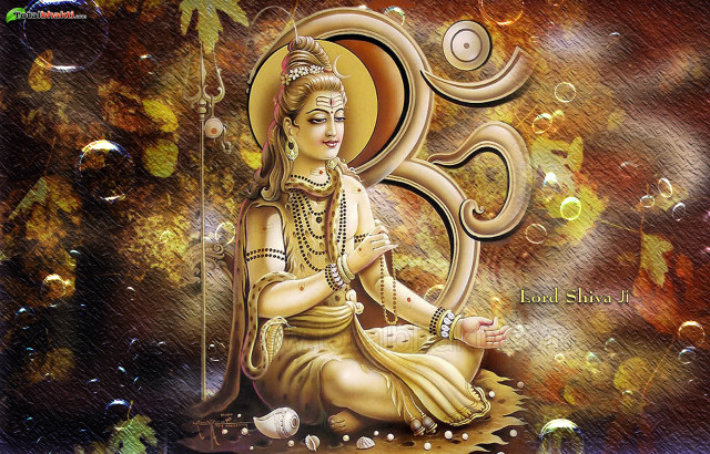 Buddha rock bubbles tree sun free wallpaper - medium preview image