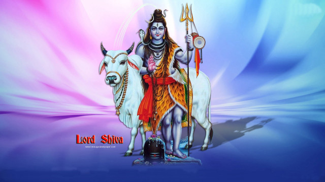 Shivgurt bull goat blue pink free wallpaper for desktop - medium preview image