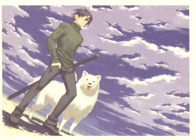 Man white dog beach clouds free wallpaper - medium preview image