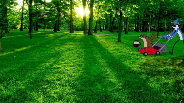 Lawn mower gnome park trees free wallpaper - medium preview image