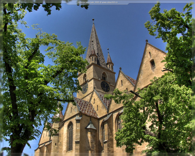 Gothic church clock tower tree free wallpaper - medium preview image
