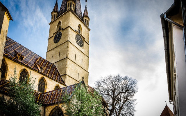 Tall building clock tree front free wallpaper - medium preview image