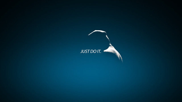Bird flying justus above another free wallpaper for desktop - medium preview image