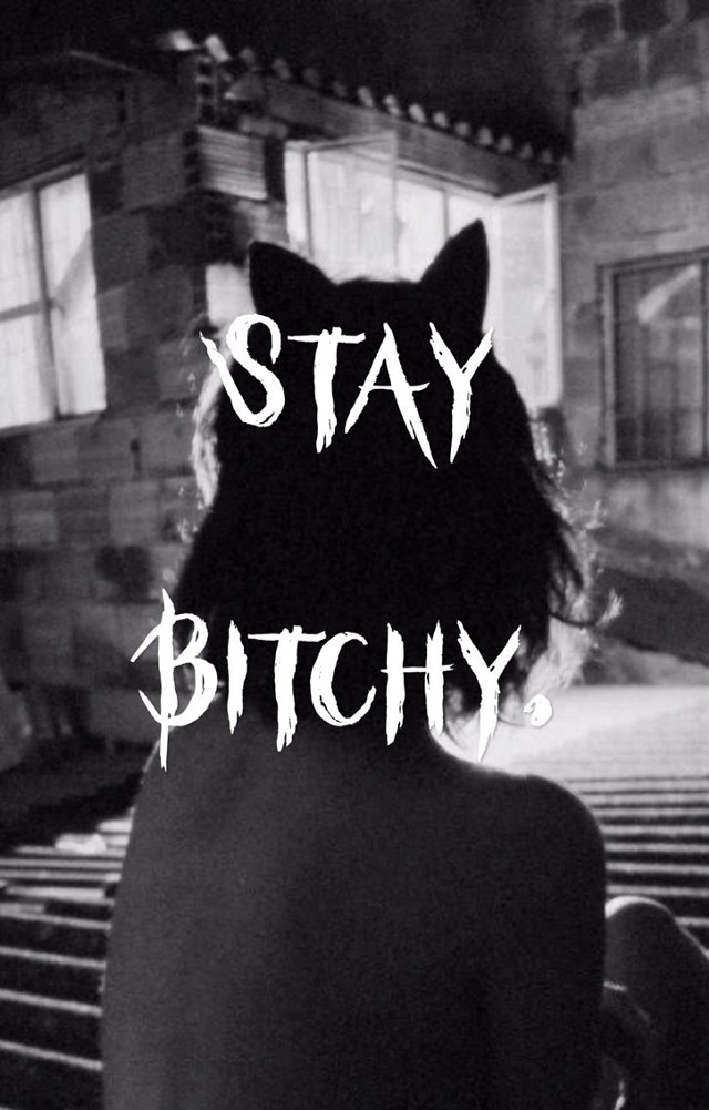 Person chair cat back stay free wallpaper - medium preview image