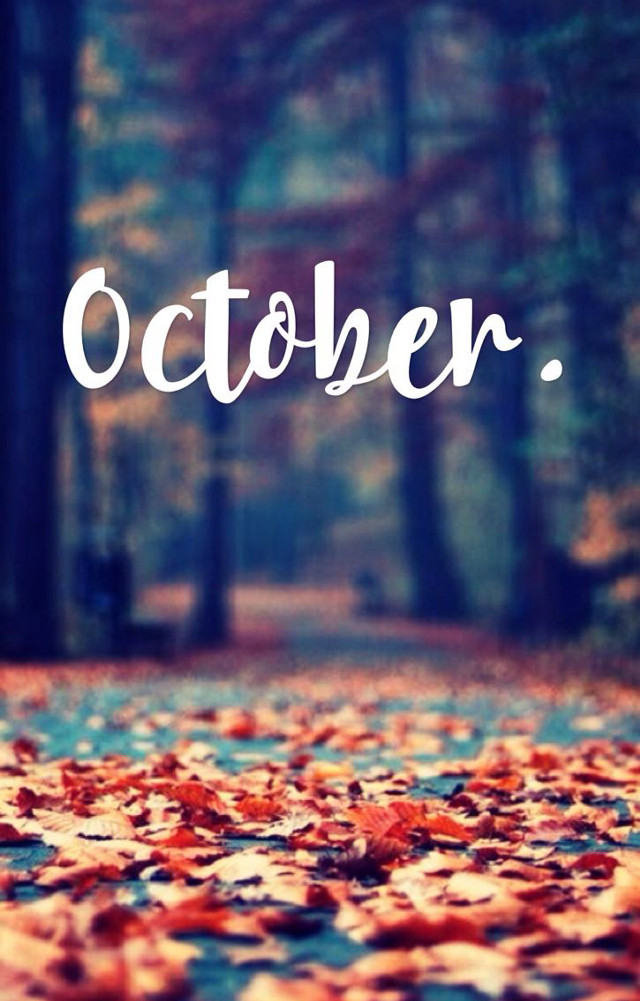 Leaf covered path october bench free wallpaper - medium preview image