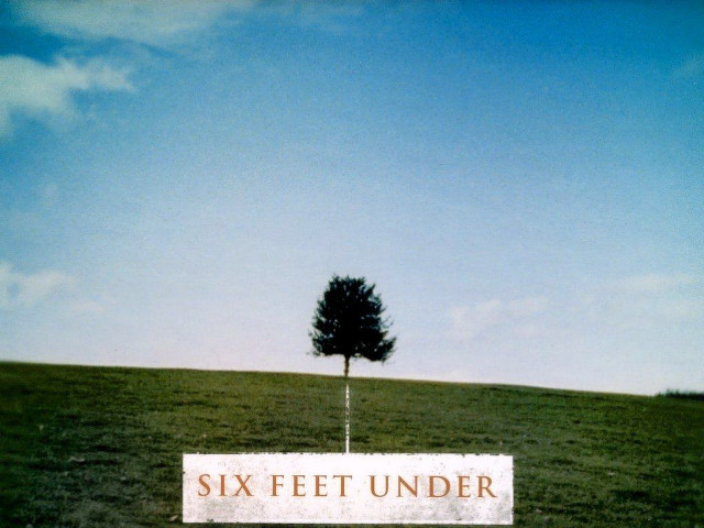 Six feet under tree field free wallpaper - medium preview image