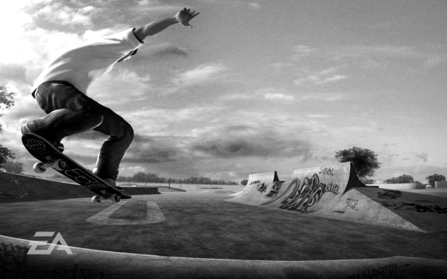 Man skateboard ramp skate park #2 free wallpaper - medium preview image