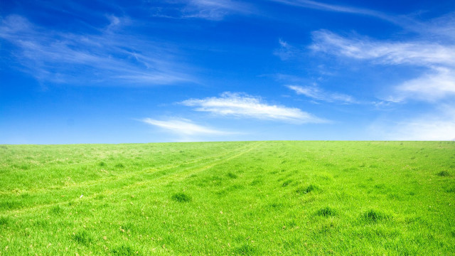 Green grass blue sky bench #2 free wallpaper - medium preview image