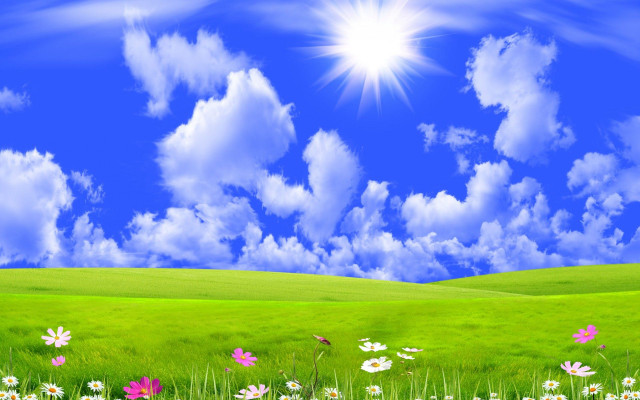Field flowers blue sky clouds free wallpaper for desktop - medium preview image