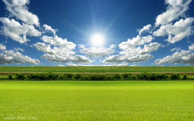 Sunlit field grass trees blue #2 free wallpaper - medium preview image