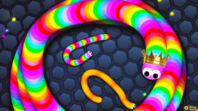 Colorful snake crown snake back free wallpaper - medium preview image