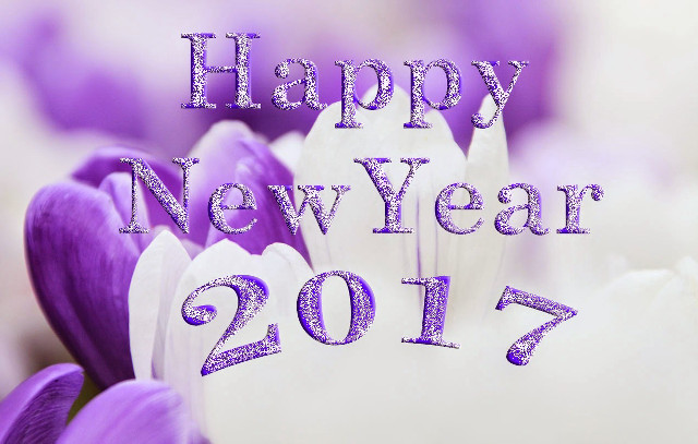 Purple white flower happy new free wallpaper - medium preview image