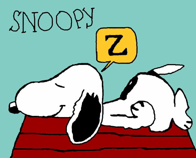 Snoopy dog laying rug speech free wallpaper - medium preview image