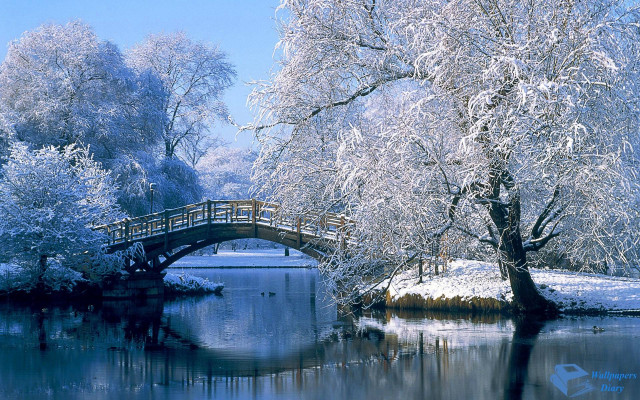 Bridge river snow trees small #4 free wallpaper - medium preview image