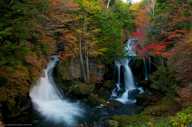 Waterfall forest fall foliage stream free wallpaper - medium preview image