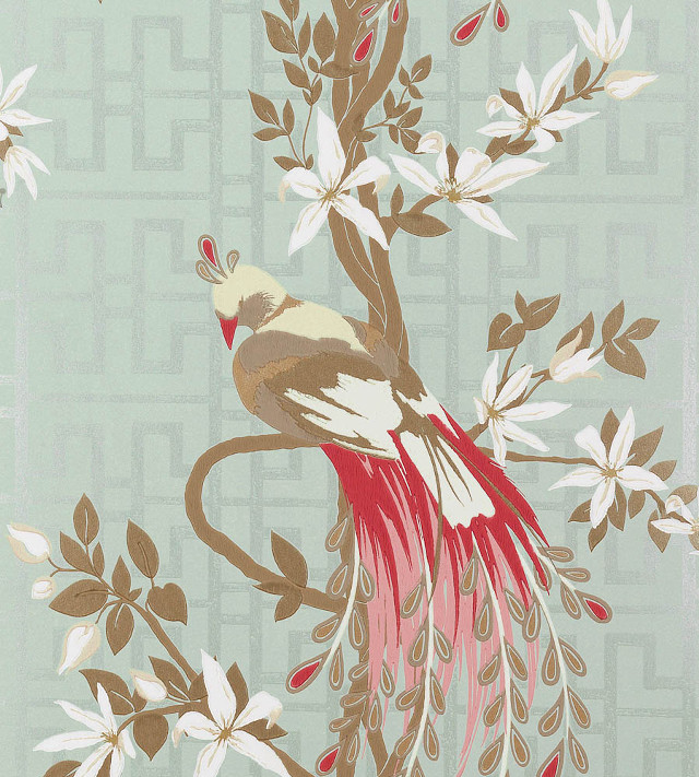Bird red tail branch white free wallpaper - medium preview image