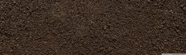 Brown carpet grass white border free wallpaper - medium preview image