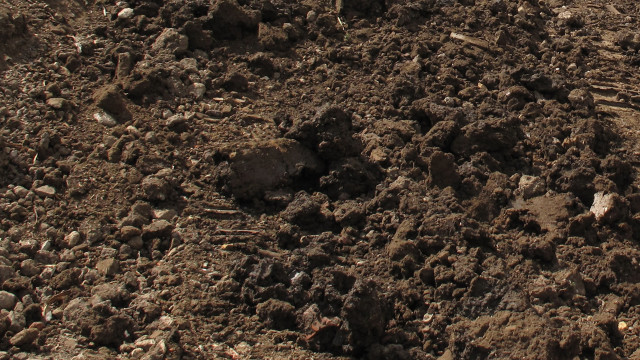 Man riding horse dirt field free wallpaper - medium preview image