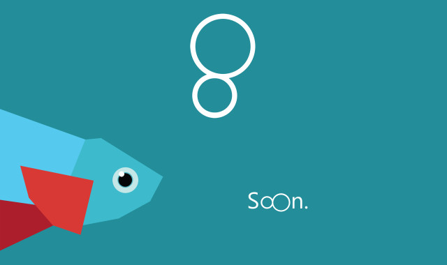 Fish red tail blue tail free wallpaper - medium preview image