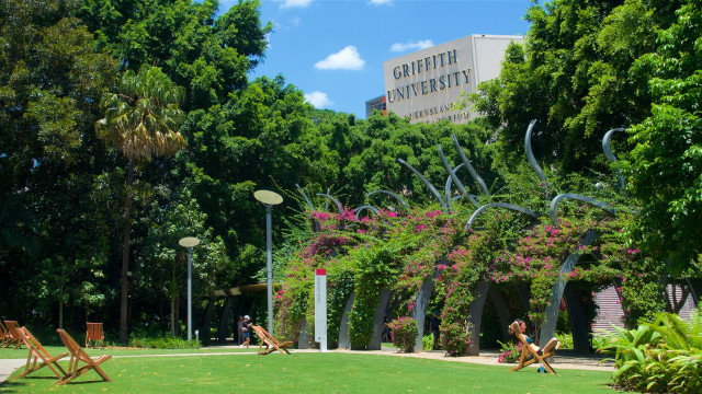 Georgetown university summer green field free wallpaper - medium preview image